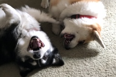 Sara and Molly playin' around!