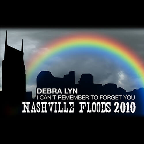 I Can’t Remember To Forget You: Nashville Floods 2010